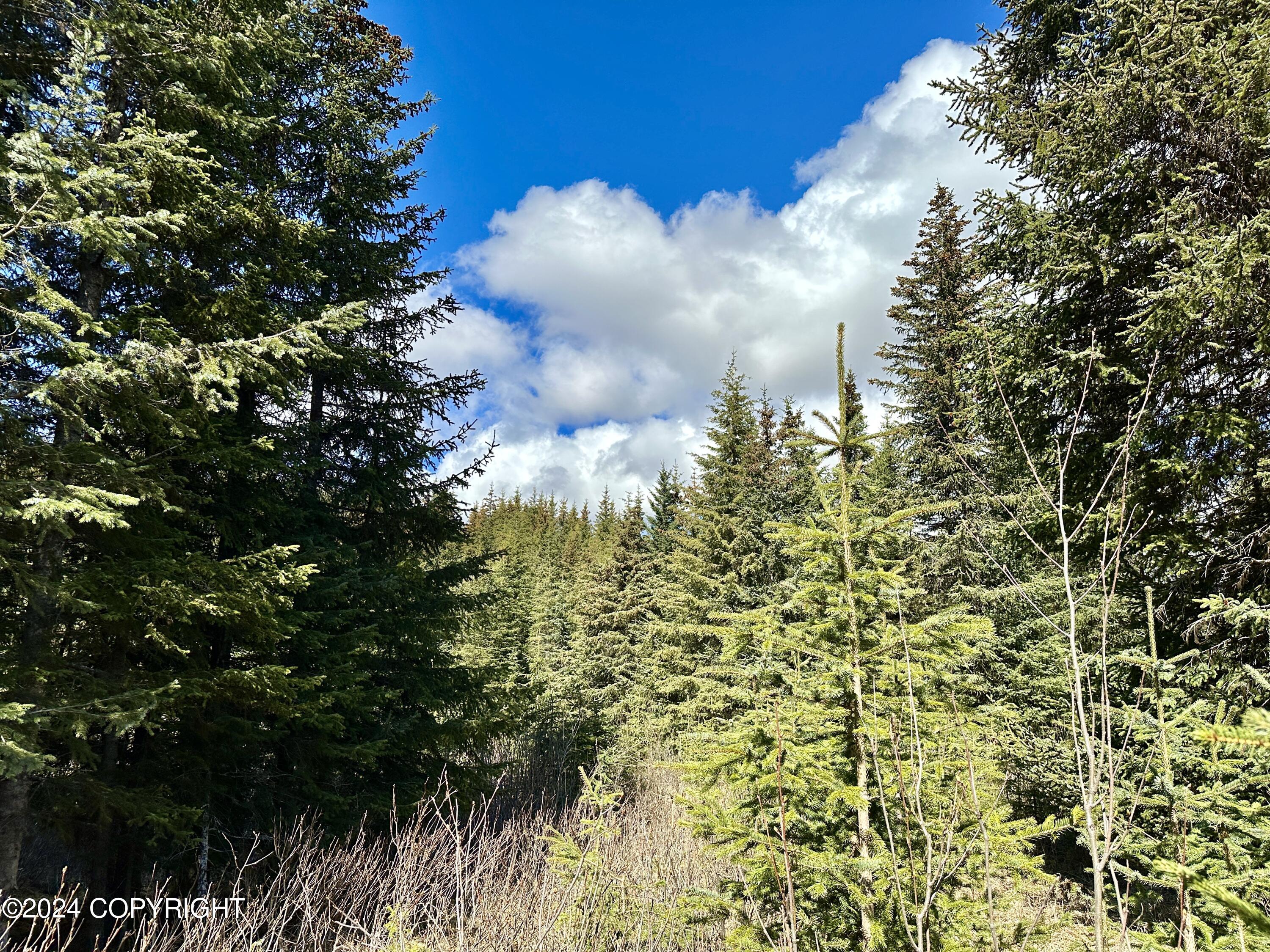 5665 Felix Circle, Homer, Alaska image 11
