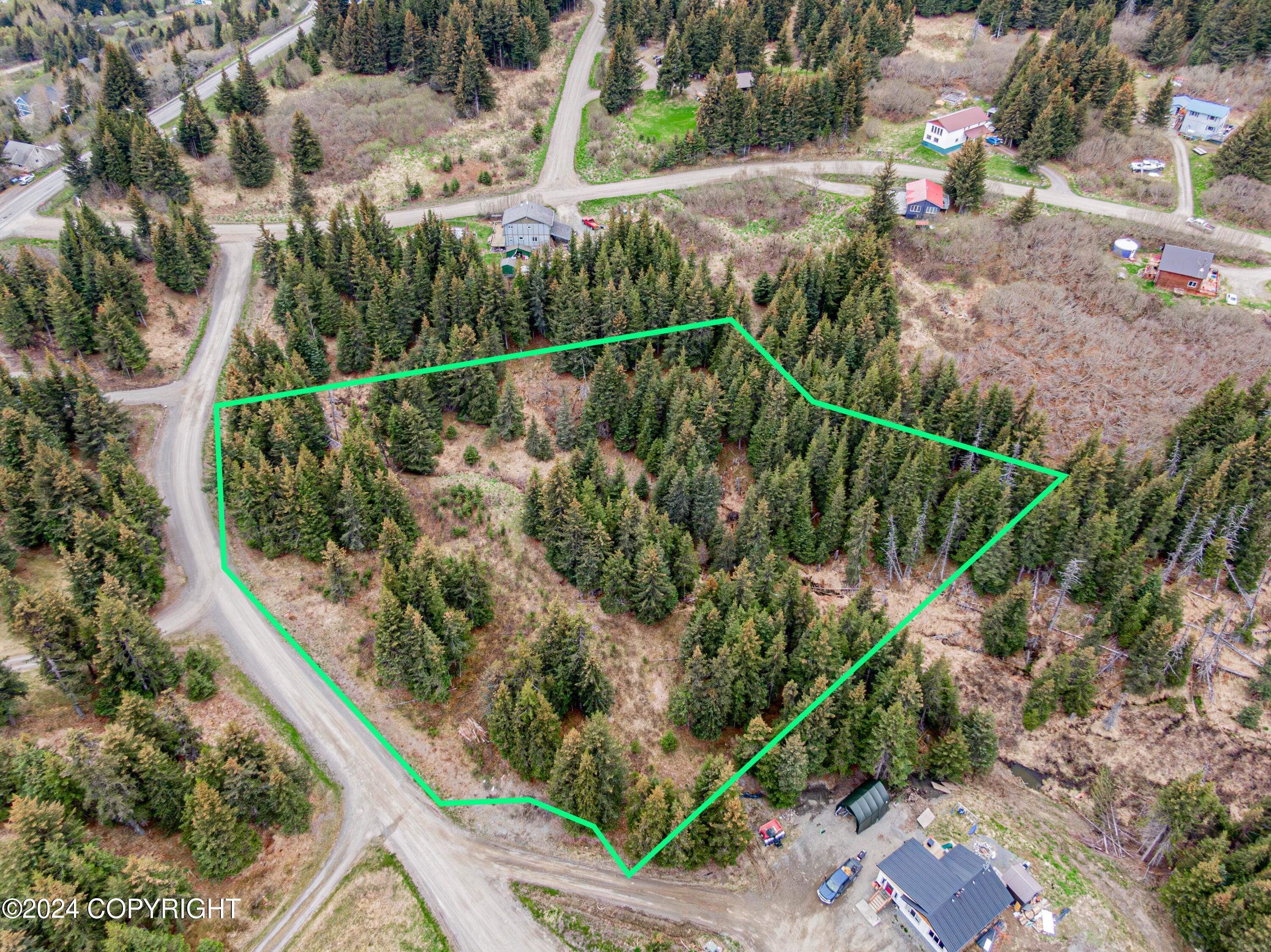 5665 Felix Circle, Homer, Alaska image 7