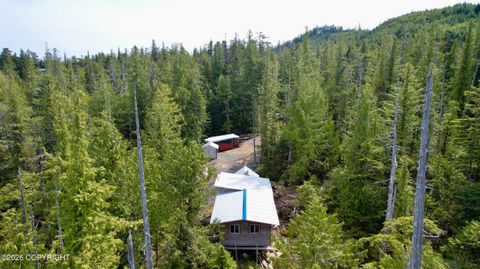 Photo of 313 SE Bowhead Loop, Coffman Cove, AK 99918 (MLS # 26-4670)