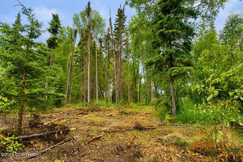 Vacant Land For Sale - L6 O'brien Street<br/> Anchorage, AK 99507