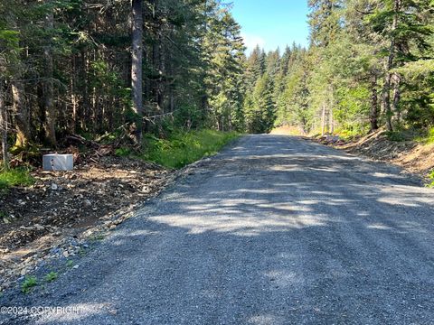 Vacant Land For Sale - 31825 Maxwell Court<br/> Seward, AK 99664