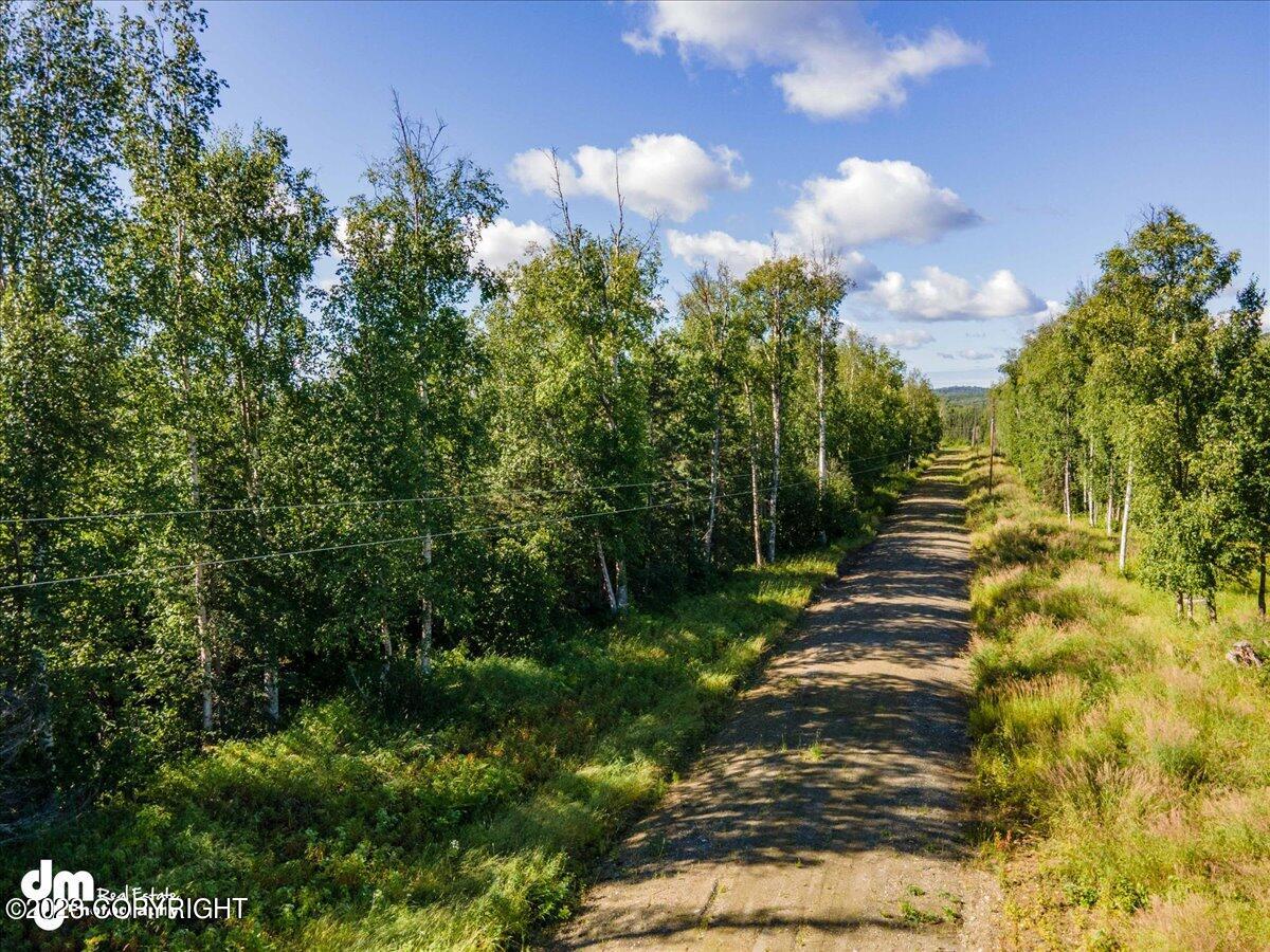 10429 S Lewis Loop, Wasilla, Alaska image 7