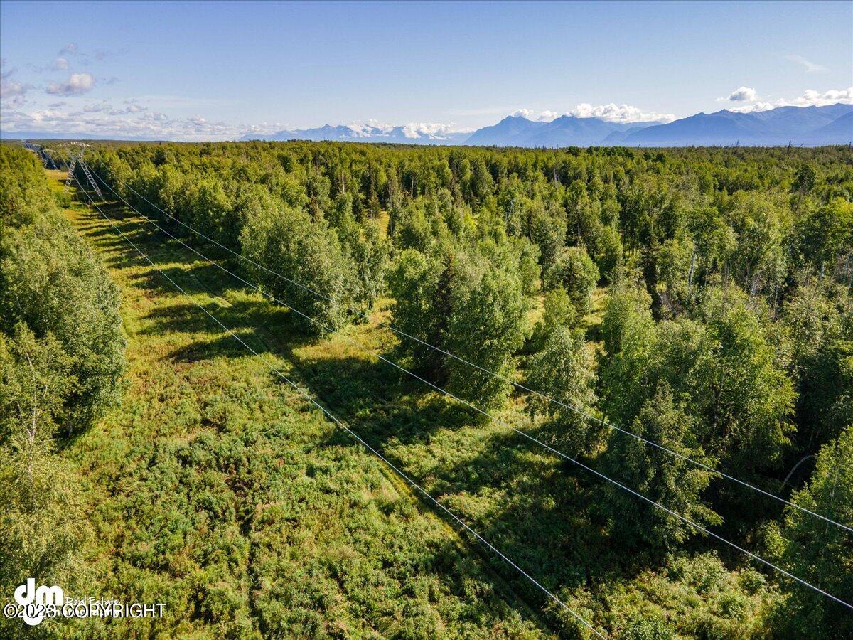 10429 S Lewis Loop, Wasilla, Alaska image 21