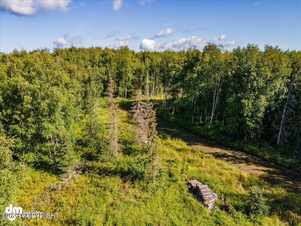 10429 S Lewis Loop, Wasilla, Alaska image 12