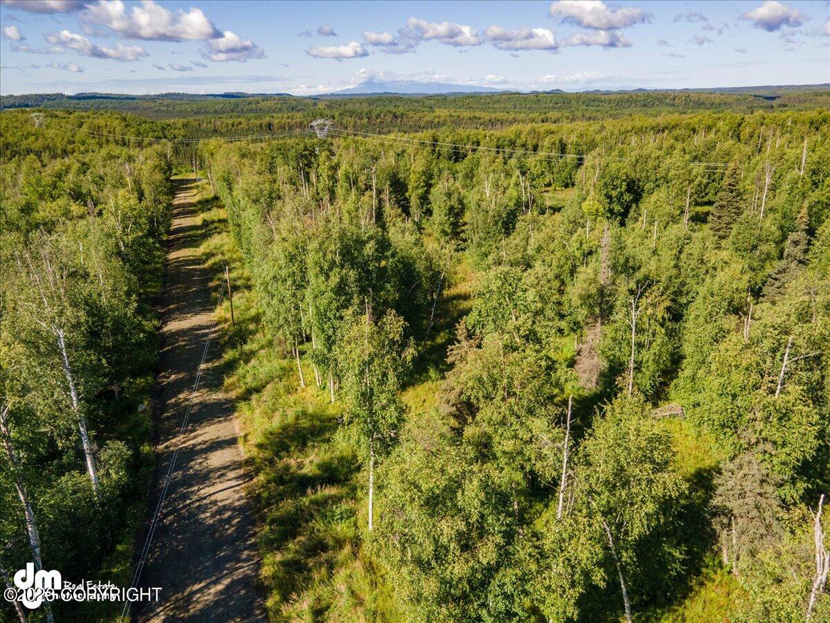 10429 S Lewis Loop, Wasilla, Alaska image 9
