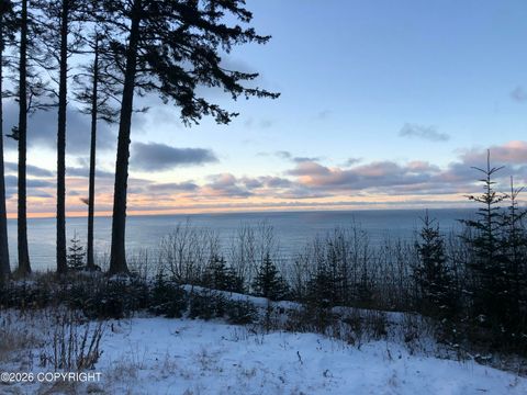 Vacant Land For Sale - 1717 Kashevarof Road<br/> Seldovia, AK 99663