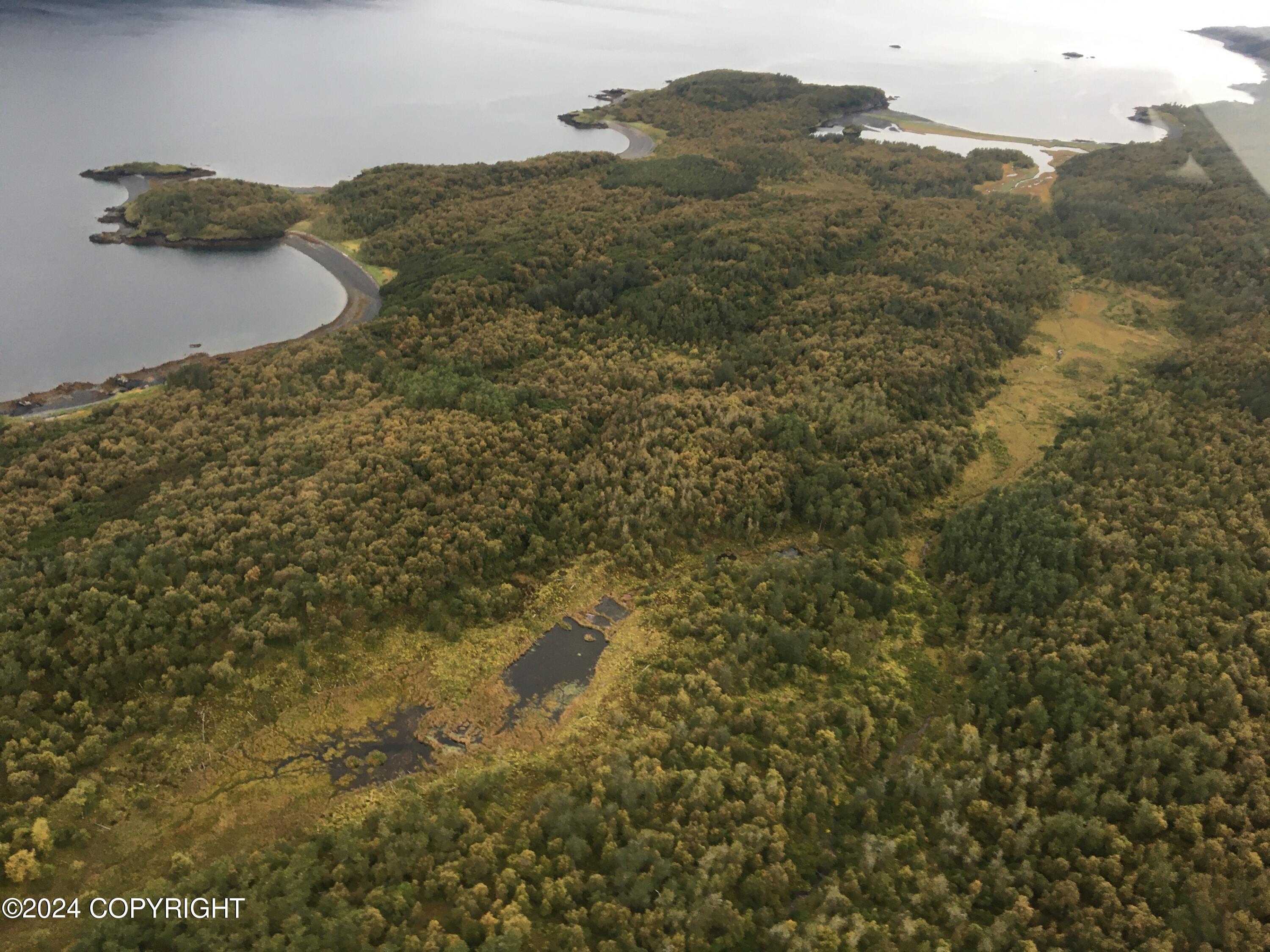 000 Amook Island Street, Kodiak, Alaska image 5