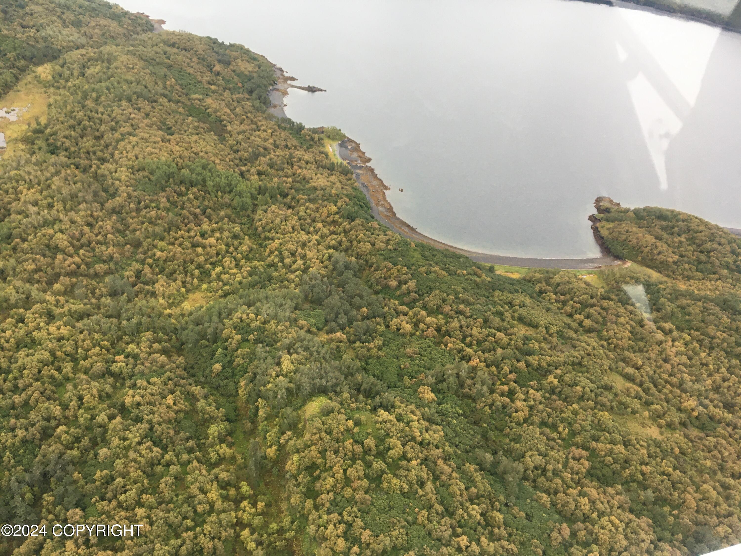000 Amook Island Street, Kodiak, Alaska image 7