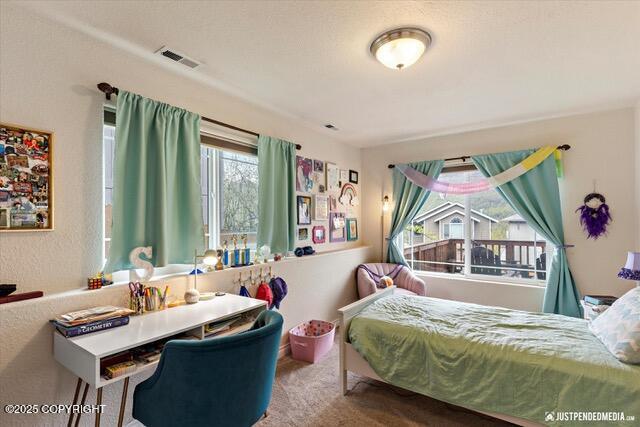 20648 Mountain Vista Drive, Eagle River, Alaska image 31