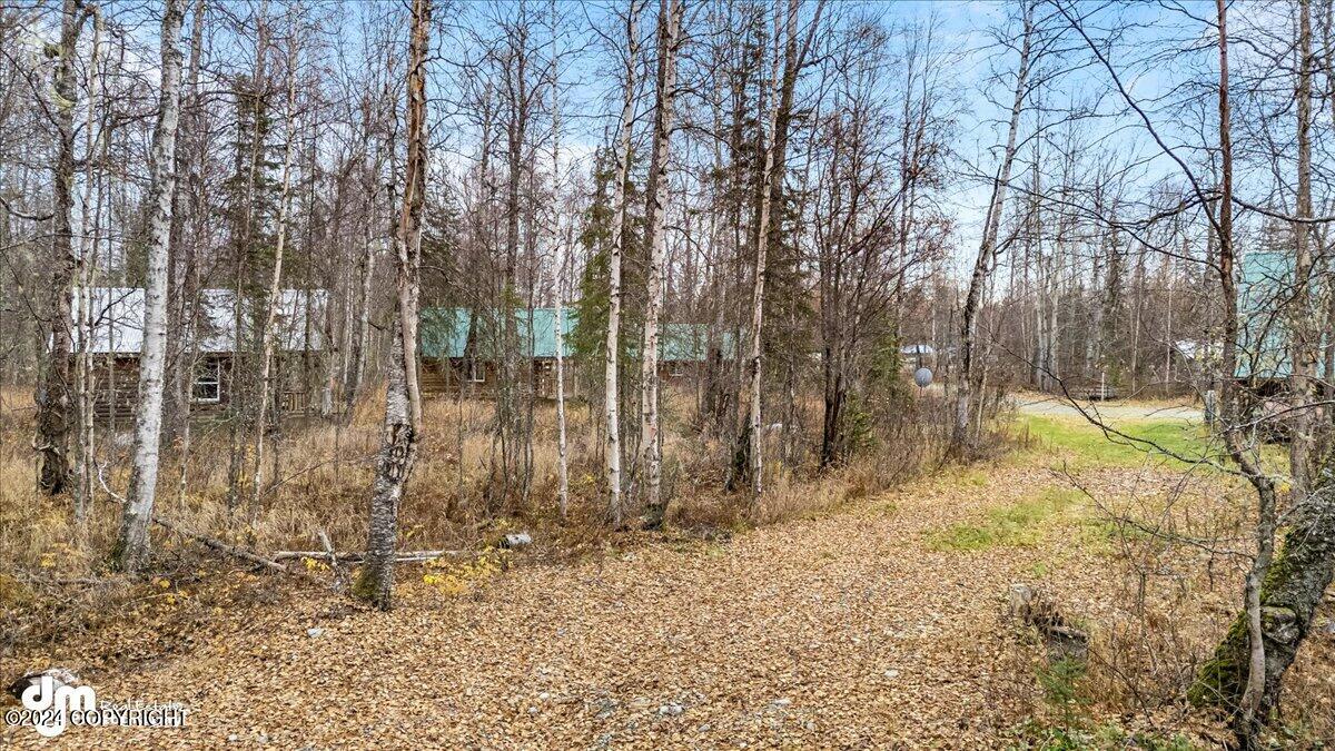 26986 S Talkeetna Spur Road, Talkeetna, Alaska image 45