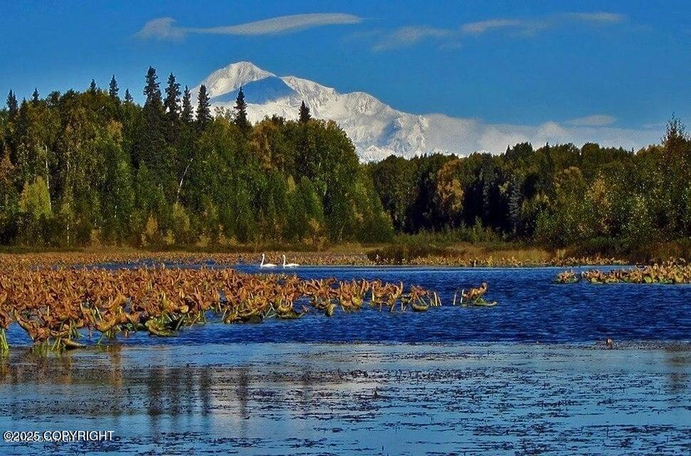 26986 S Talkeetna Spur Road, Talkeetna, Alaska image 1