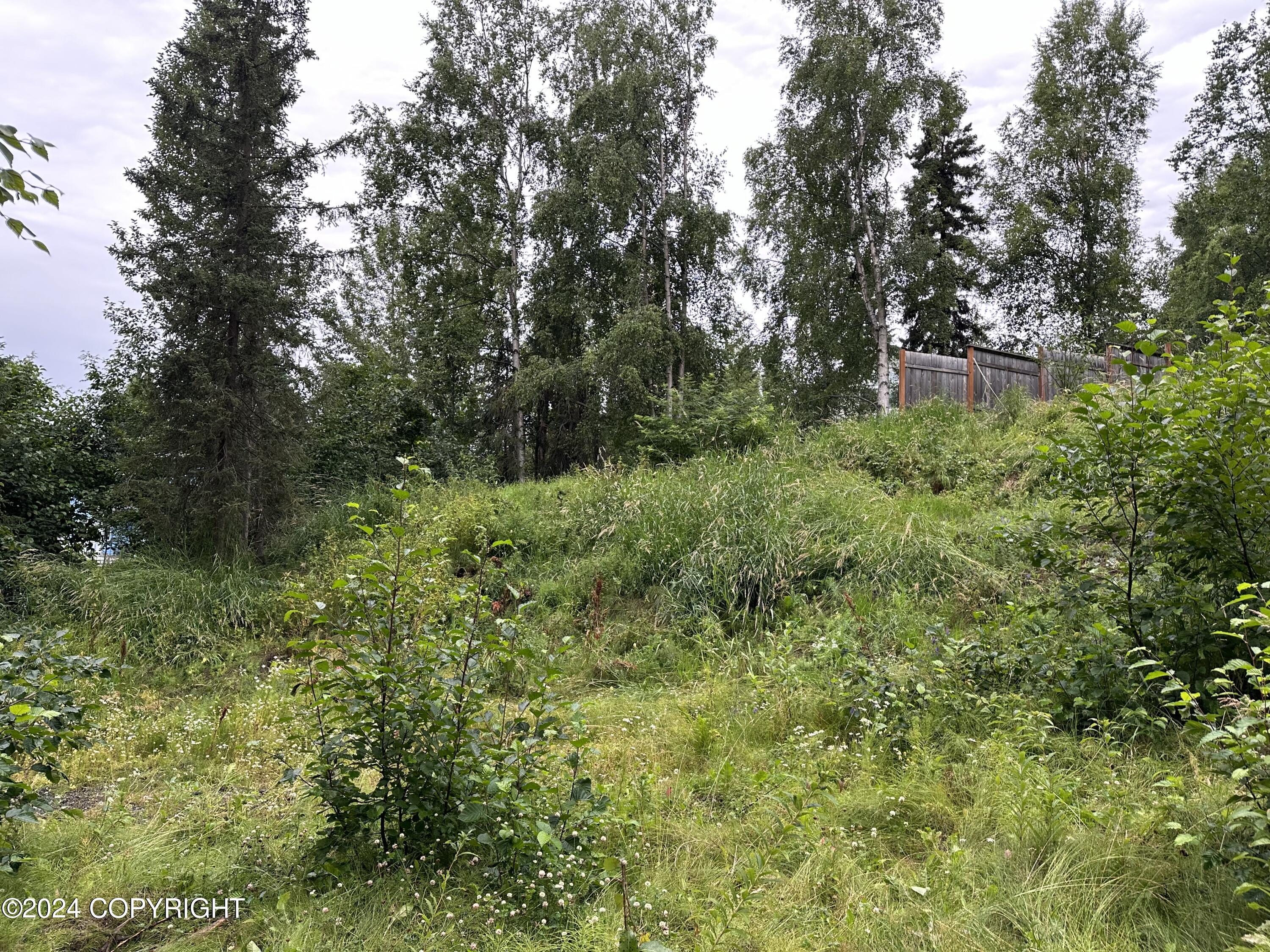 Anchorage, Alaska 99504, United States, ,Land,Active,63546