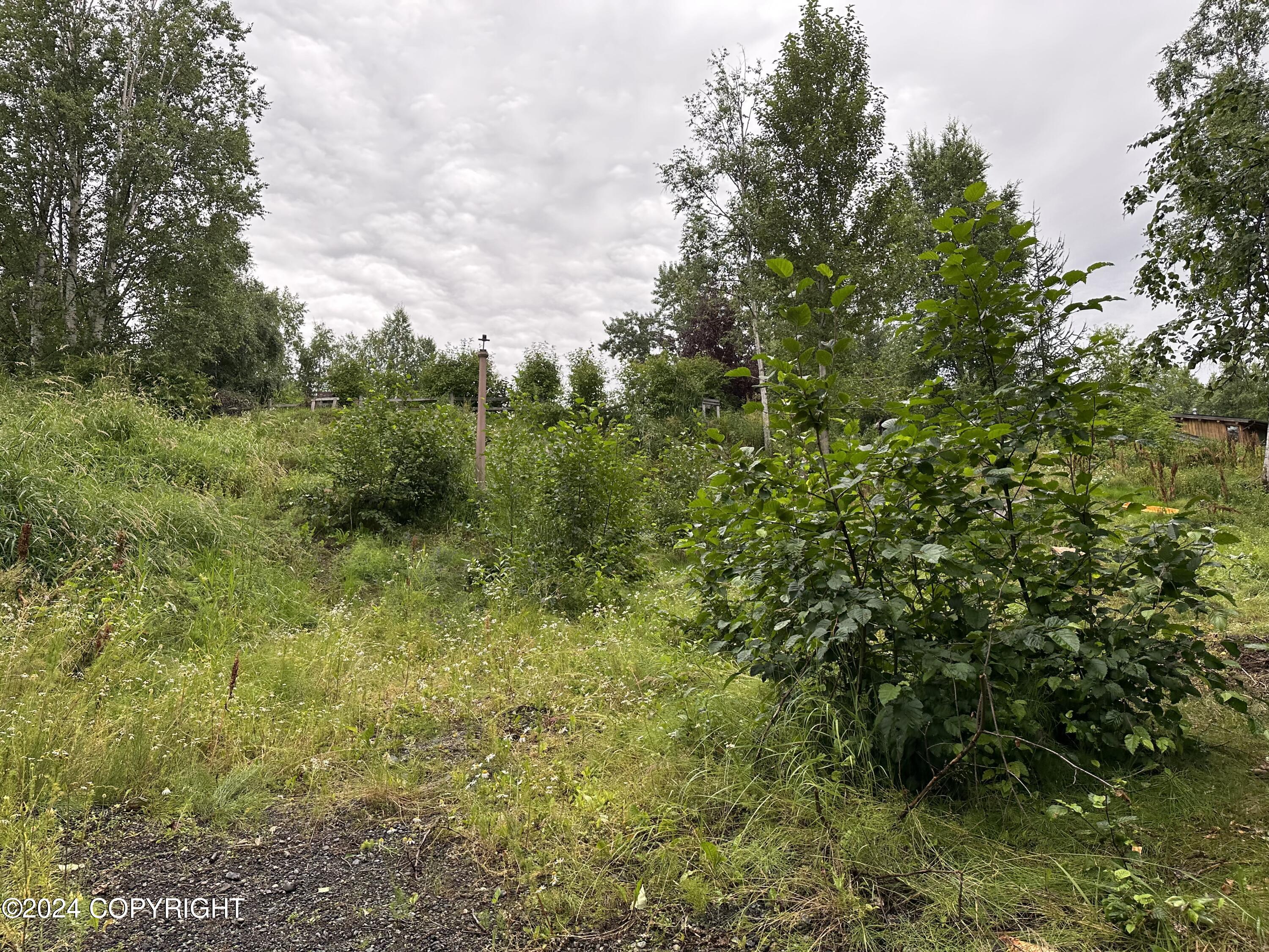 Anchorage, Alaska 99504, United States, ,Land,Active,63546