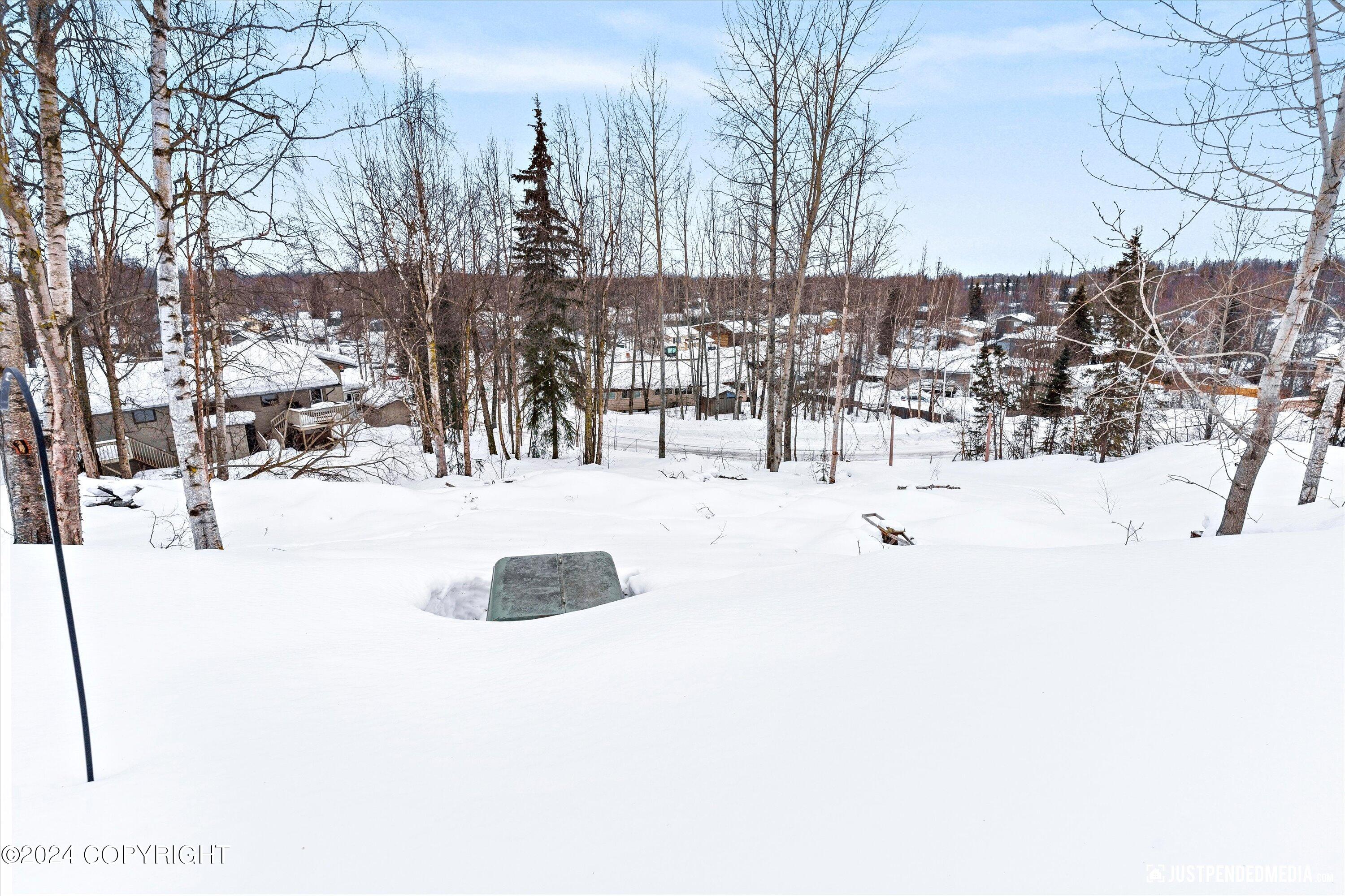 Anchorage, Alaska 99504, United States, ,Land,Active,63546