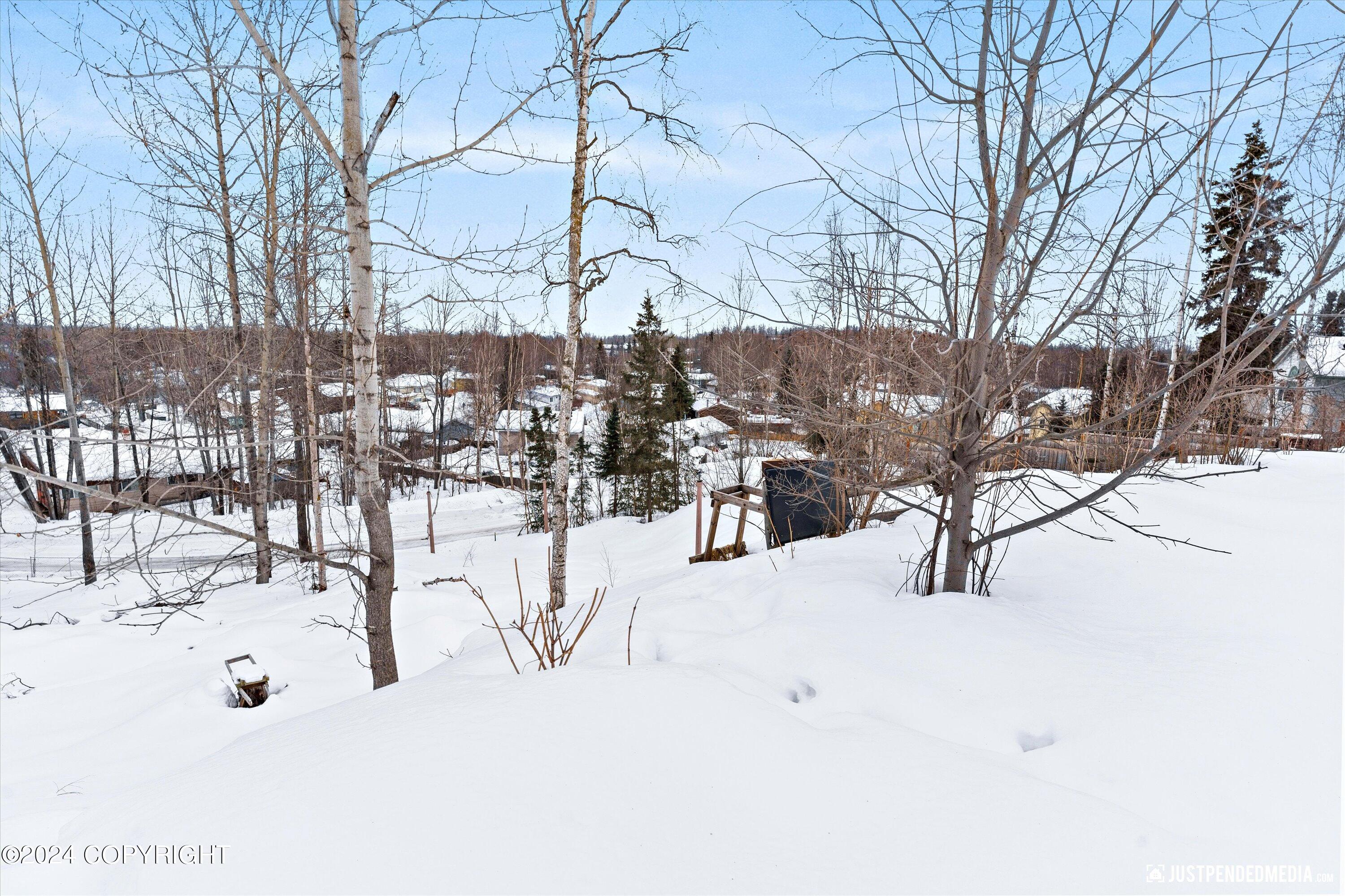 Anchorage, Alaska 99504, United States, ,Land,Active,63546