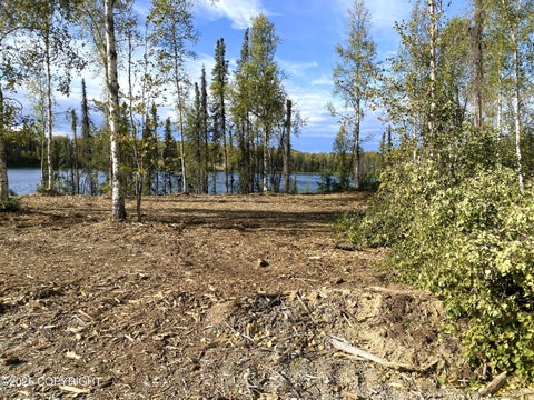 Vacant Land For Sale - 19531 E Good Land Drive<br/> Willow, AK 99688