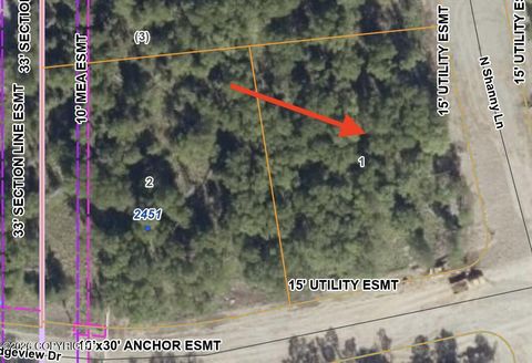 Photo of NHN N Shanny Lane, Wasilla, AK 99654 (MLS # 26-4137)