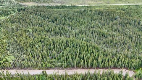 Vacant Land For Sale - 1327.6 B3 Alaska Highway<br/> Tok, AK 99780
