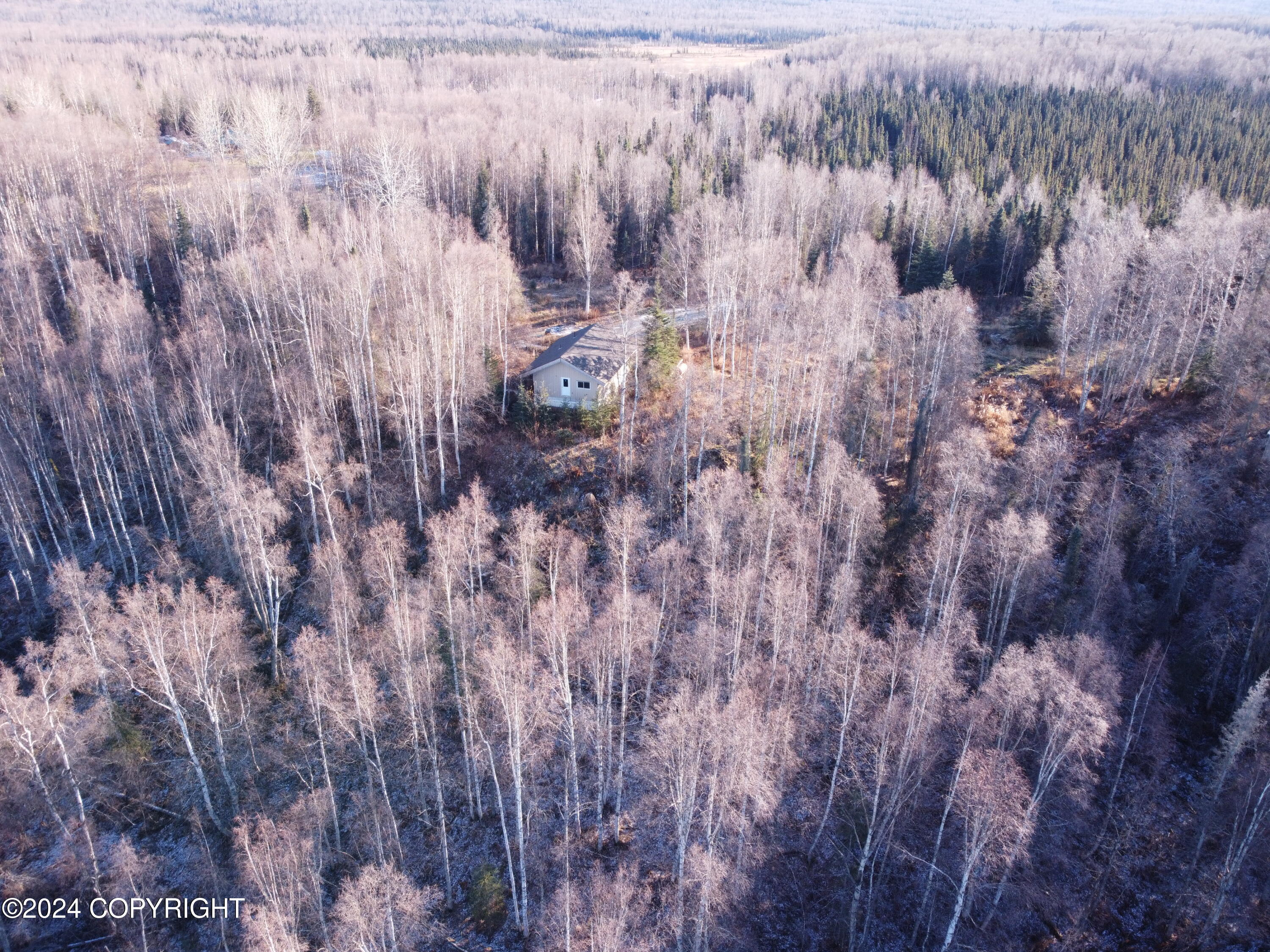 17709 Willow Fishhook Road, Willow, Alaska image 31