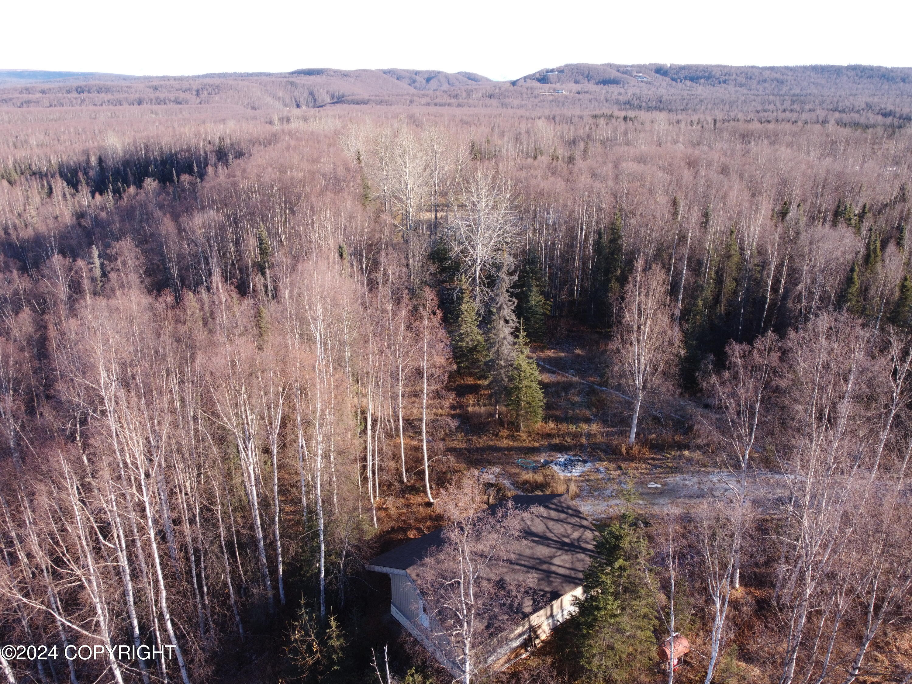 17709 Willow Fishhook Road, Willow, Alaska image 28