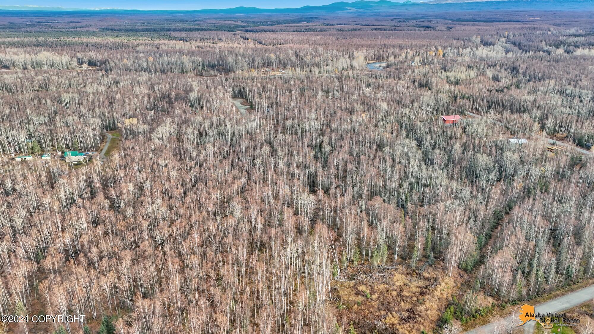 15365 N Slats Circle, Willow, Alaska image 24