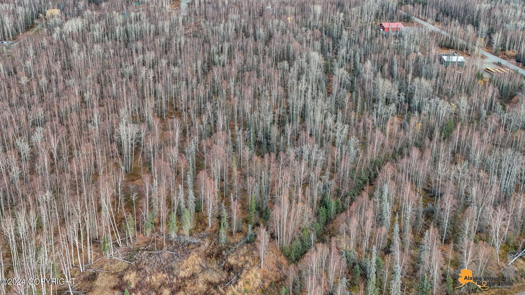 15365 N Slats Circle, Willow, Alaska image 34