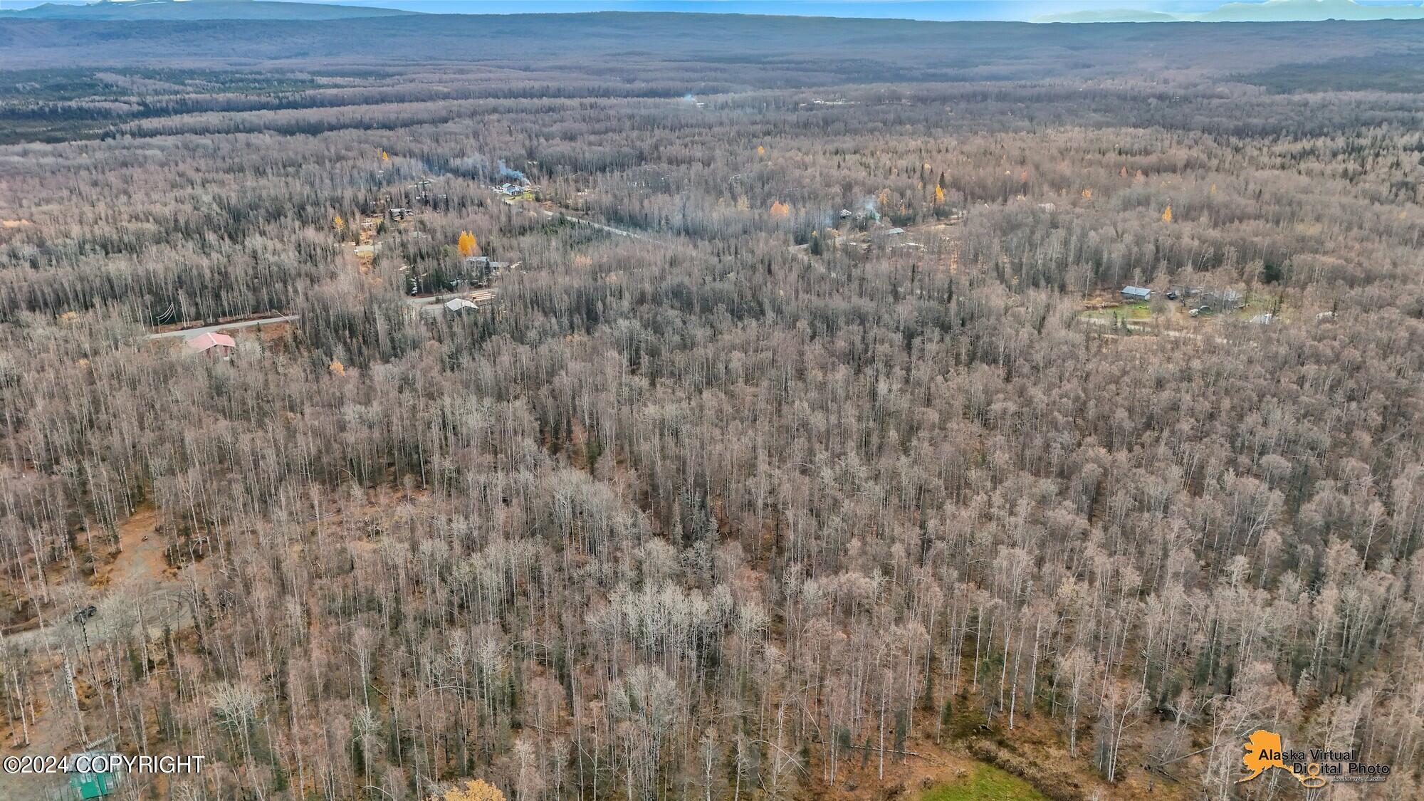 15365 N Slats Circle, Willow, Alaska image 28