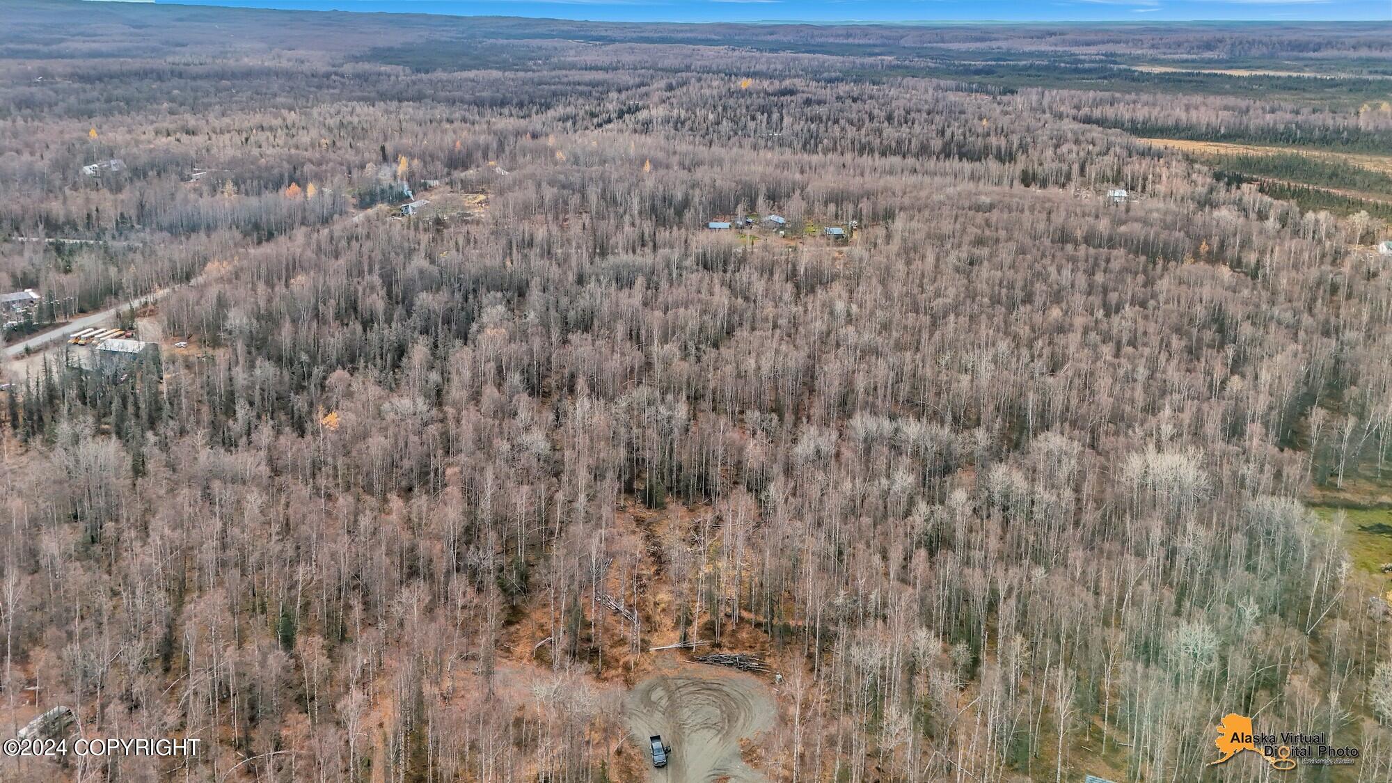 15365 N Slats Circle, Willow, Alaska image 30
