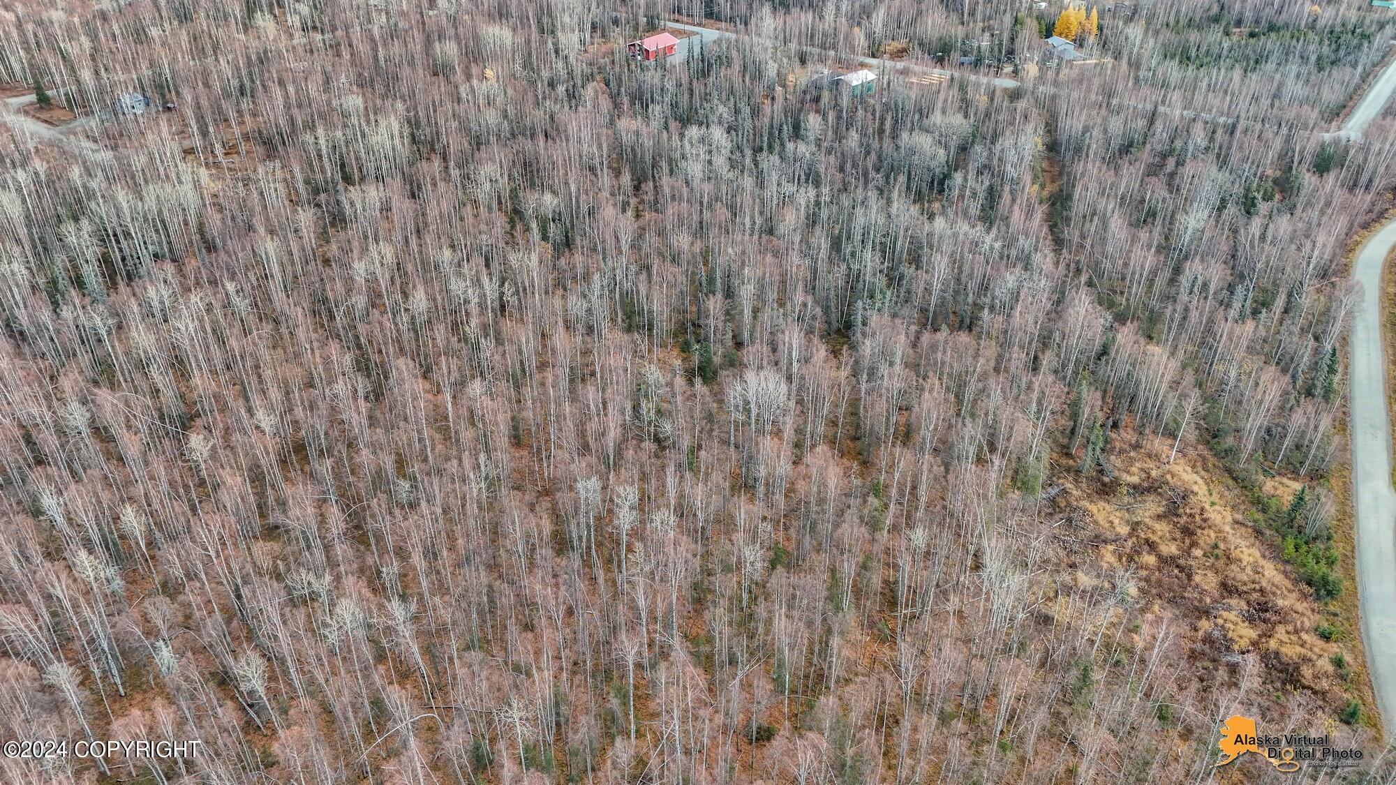 15365 N Slats Circle, Willow, Alaska image 35