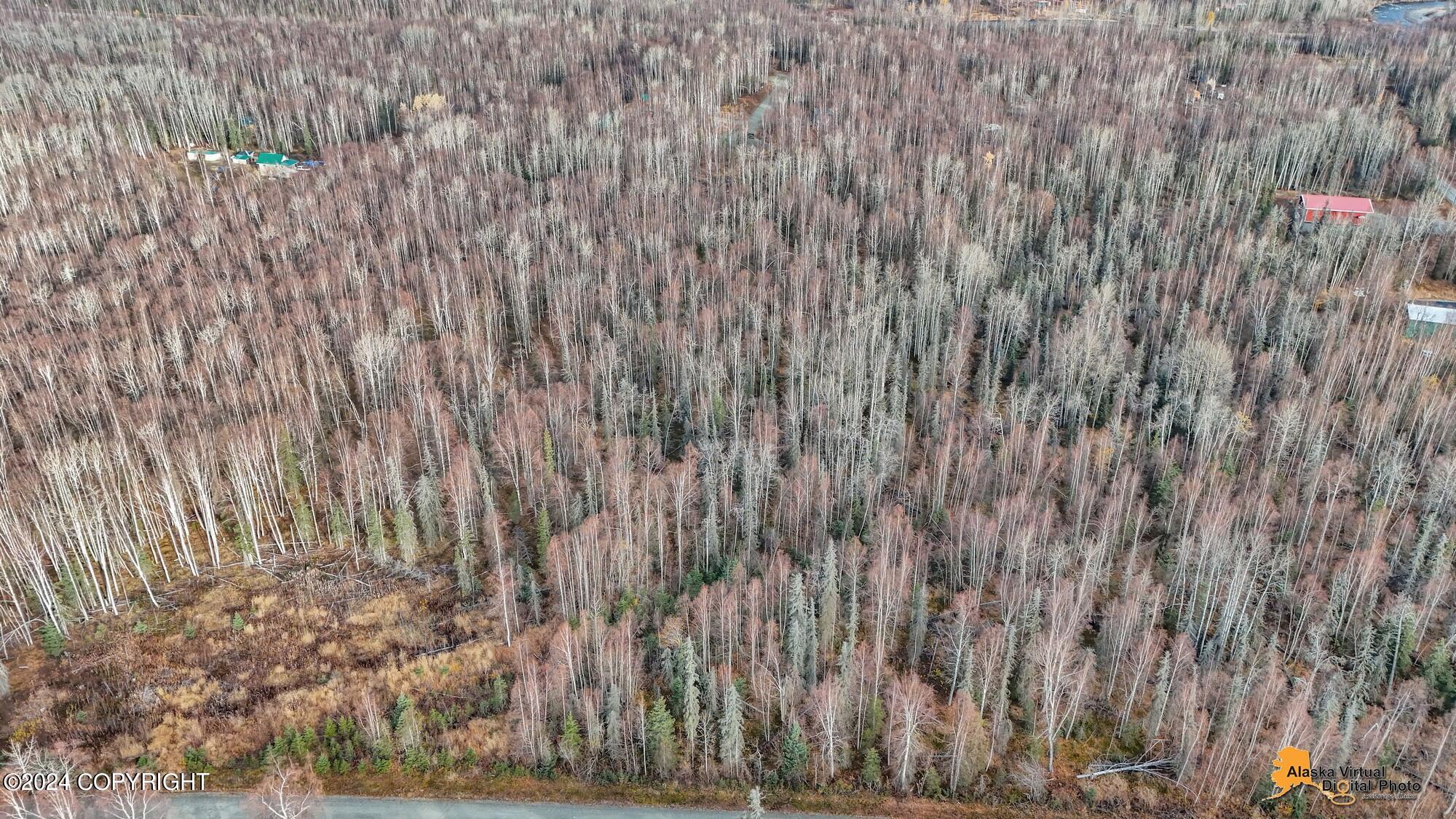 15365 N Slats Circle, Willow, Alaska image 22