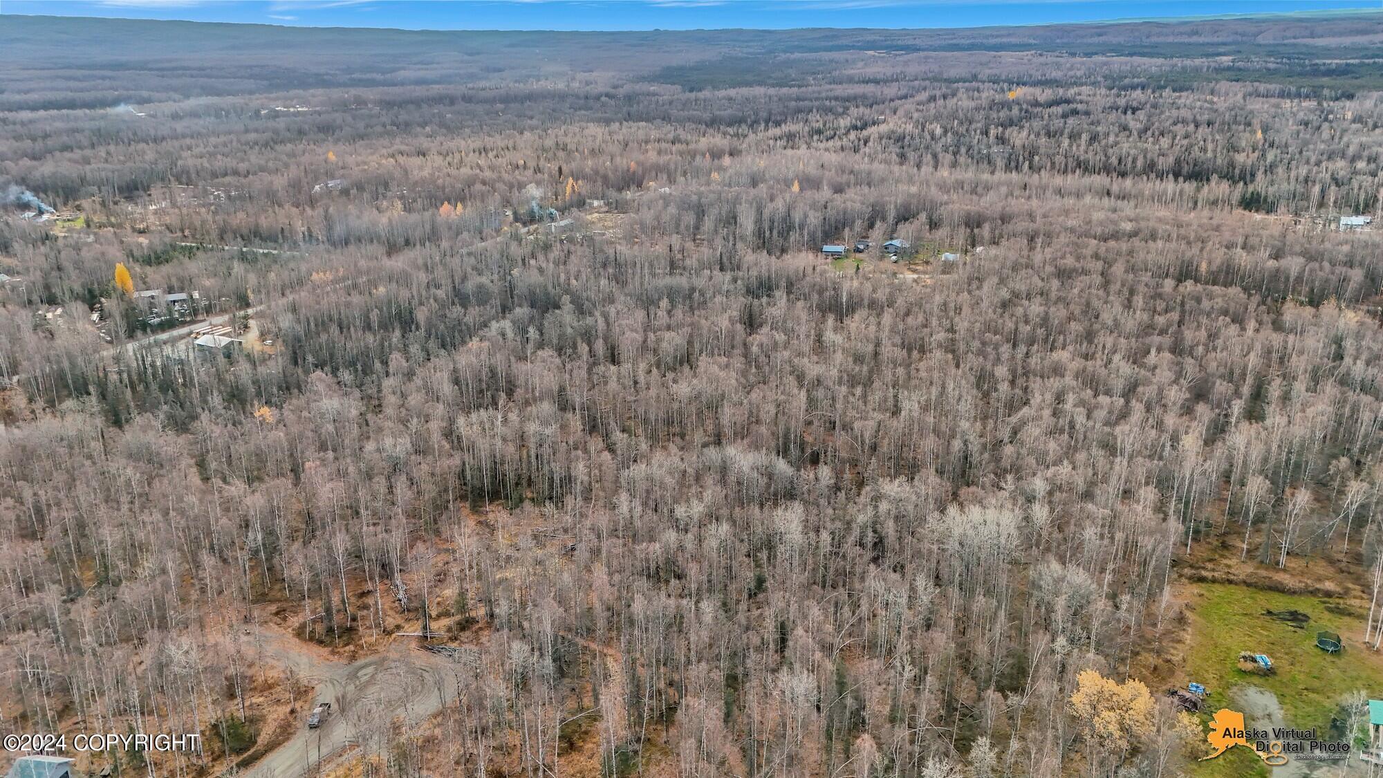15365 N Slats Circle, Willow, Alaska image 29