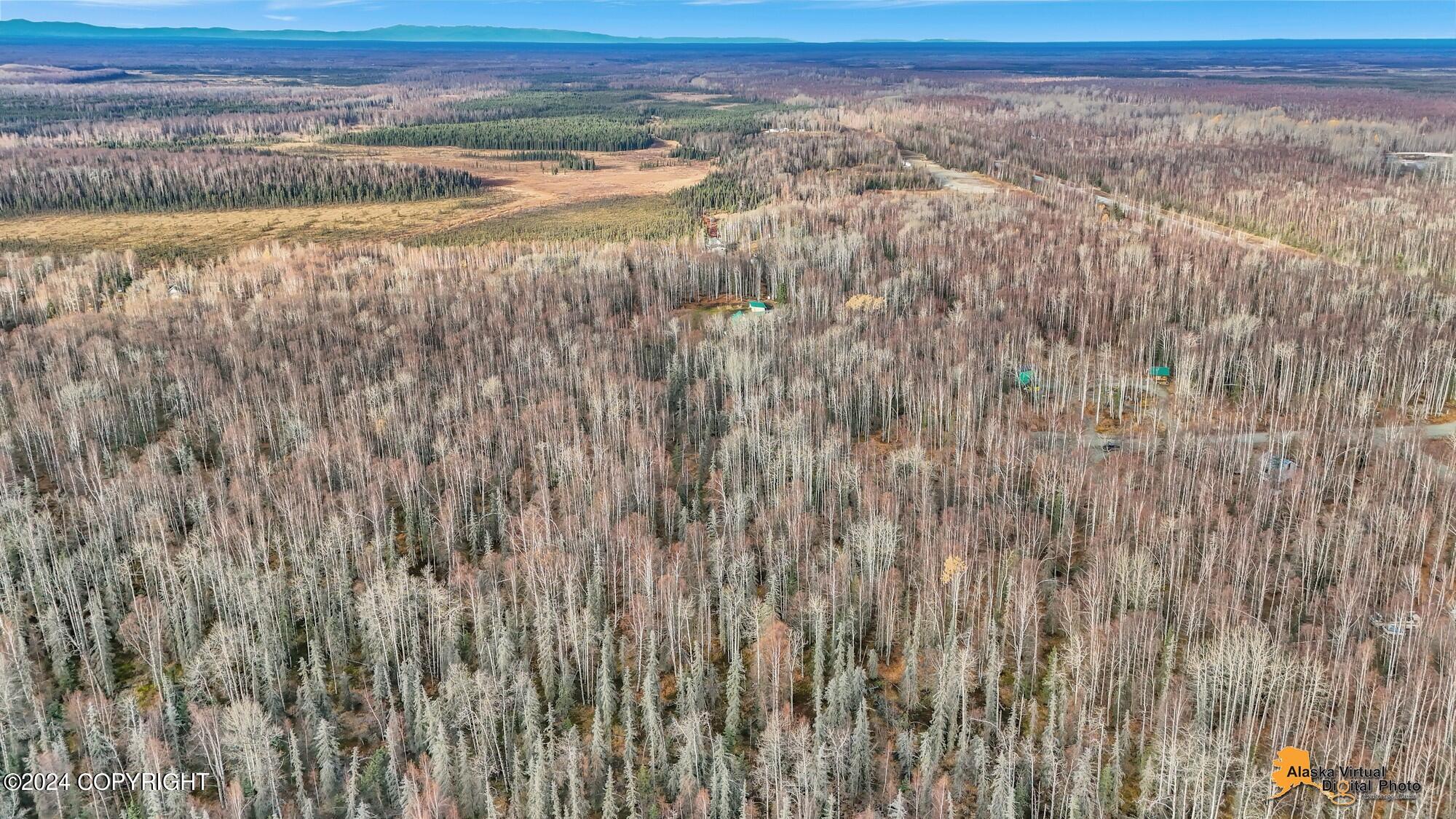 15365 N Slats Circle, Willow, Alaska image 19