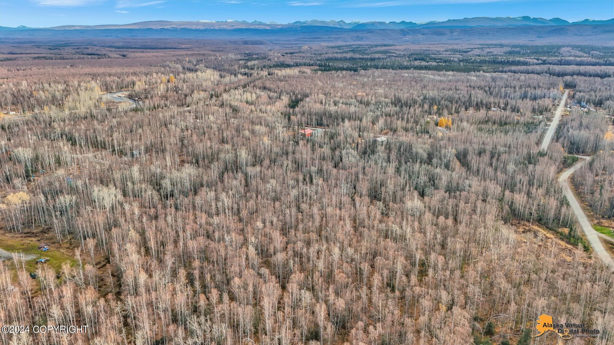 15365 N Slats Circle, Willow, Alaska image 25