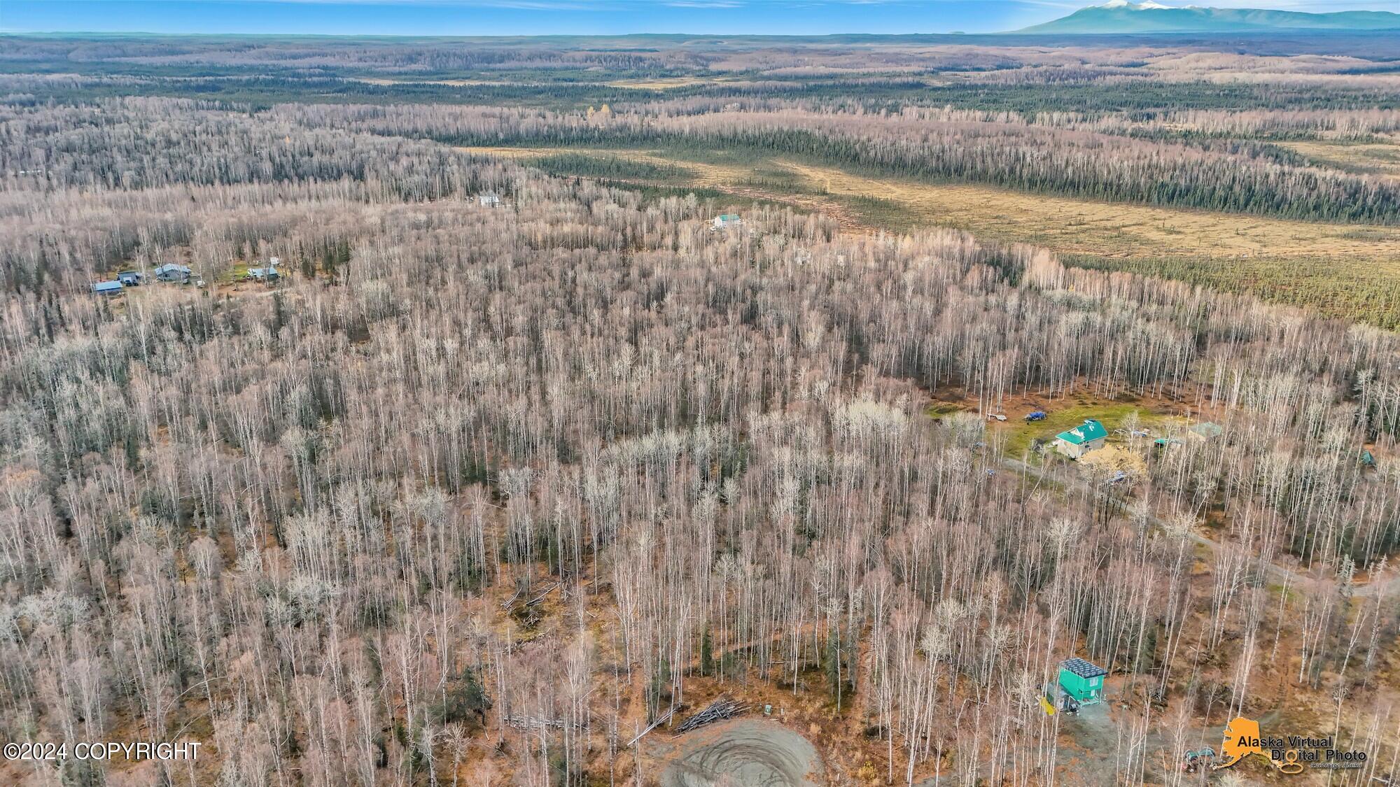 15365 N Slats Circle, Willow, Alaska image 16