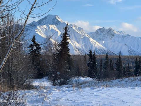Photo of 35251 W Glenn Highway, Chickaloon, AK 99674 (MLS # 25-13804)