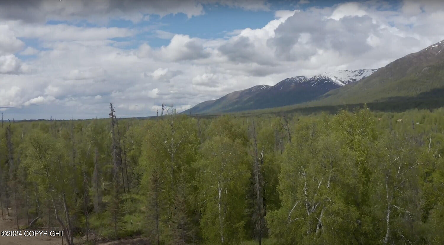 10580 N Hatchers Flight Loop, Palmer, Alaska image 11