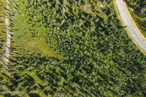 Vacant Land For Sale - L5 Mountain Air Drive<br/> Anchorage, AK 99516