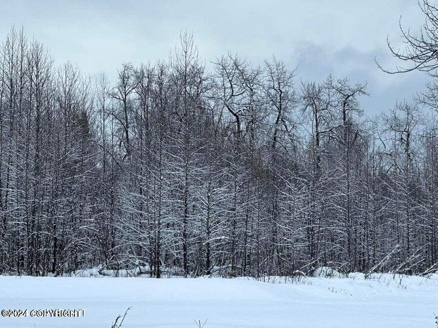 35885 & 35825 Sterling Highway, Anchor Point, Alaska image 20