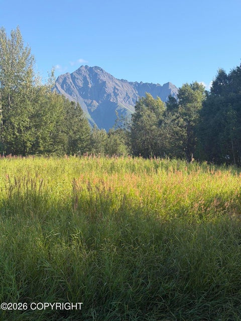 Vacant Land For Sale - 2937 S Mccombs Road<br/> Palmer, AK 99645