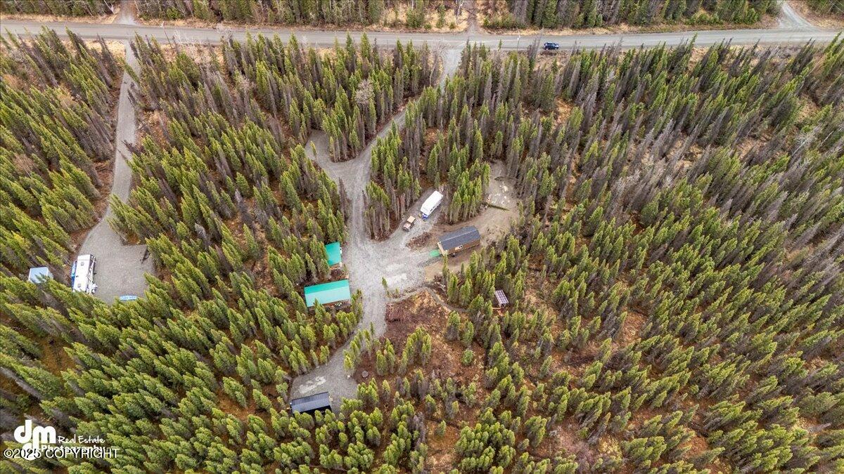 35117 Goodyear Street, Soldotna, Alaska image 18