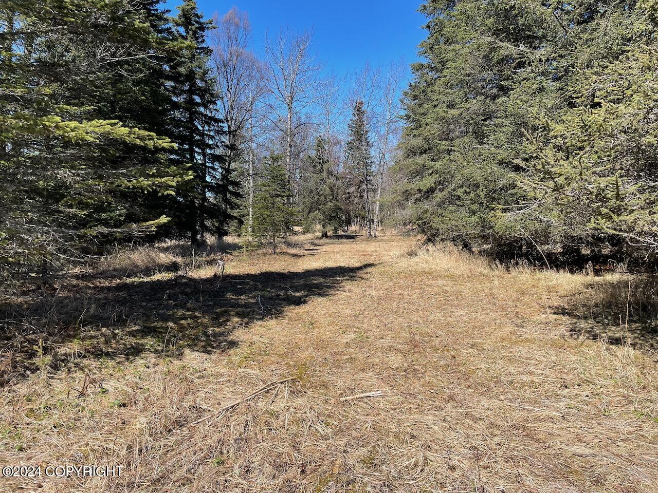 16659 Sterling Highway, Ninilchik, Alaska image 9