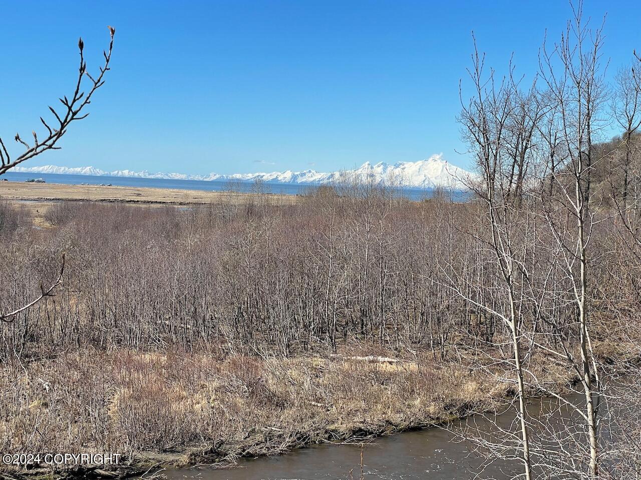 16659 Sterling Highway, Ninilchik, Alaska image 1