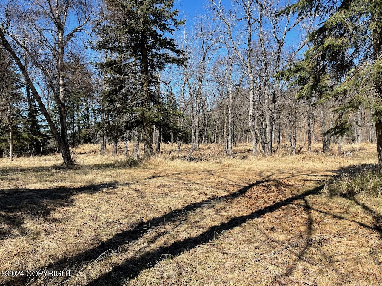 16659 Sterling Highway, Ninilchik, Alaska image 27