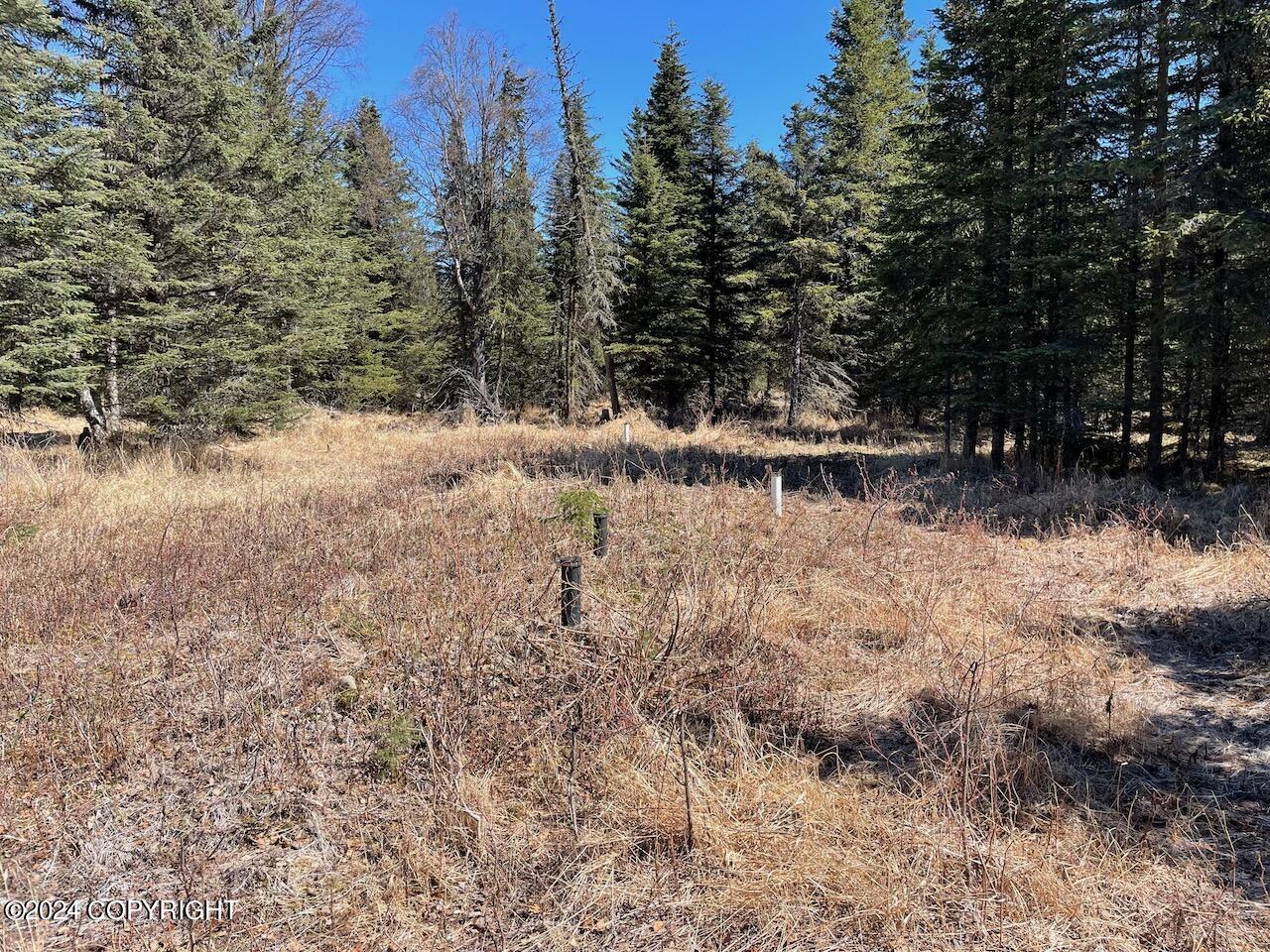16659 Sterling Highway, Ninilchik, Alaska image 21