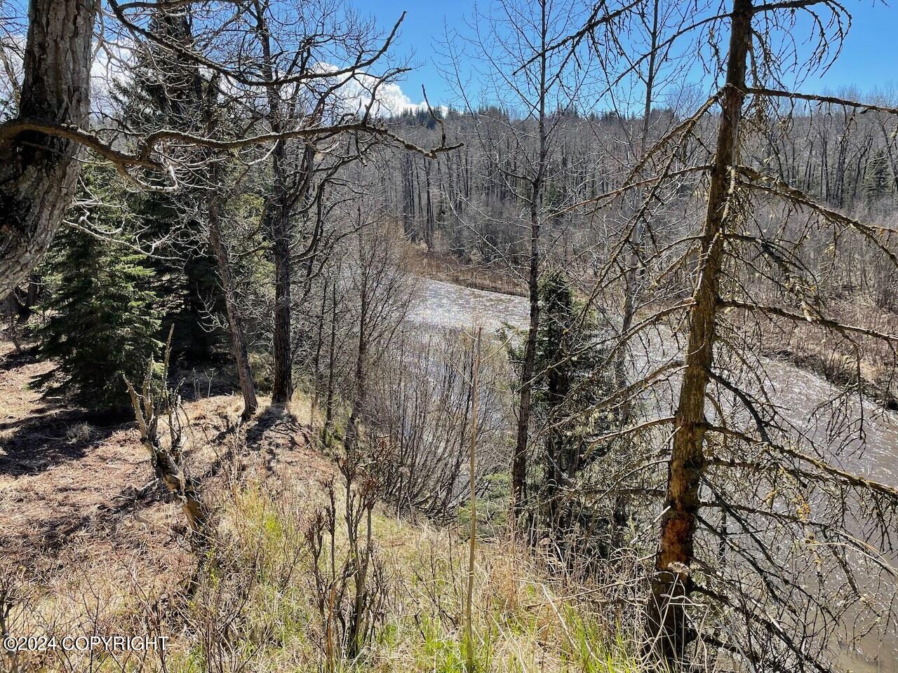 16659 Sterling Highway, Ninilchik, Alaska image 28