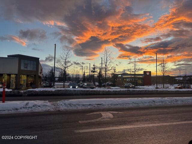 Anchorage, Alaska 99504, United States, ,Residential,Active,23642