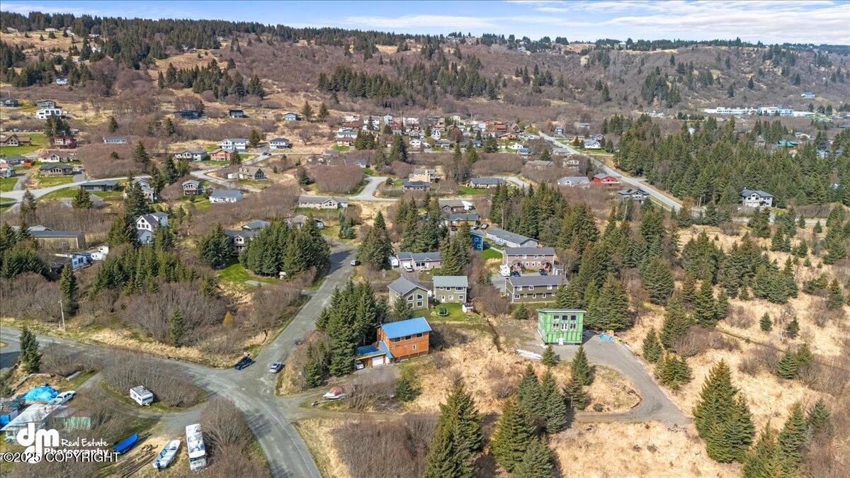 3740 Forest Glen Drive, Homer, Alaska image 38
