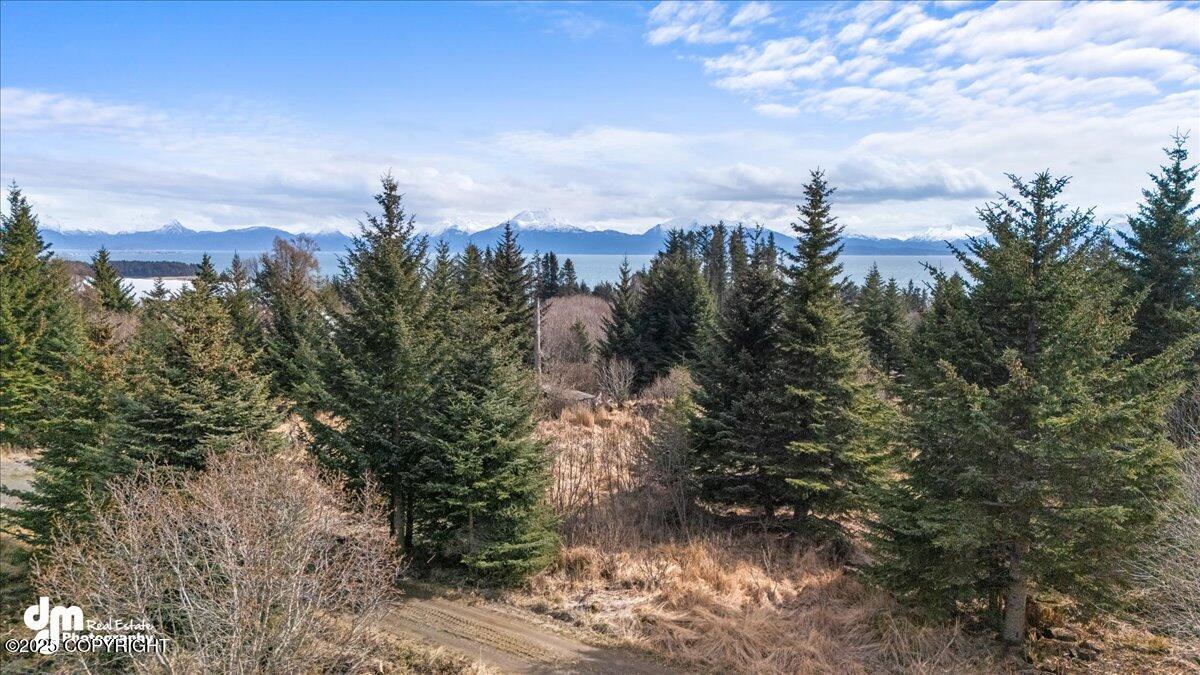 3740 Forest Glen Drive, Homer, Alaska image 5