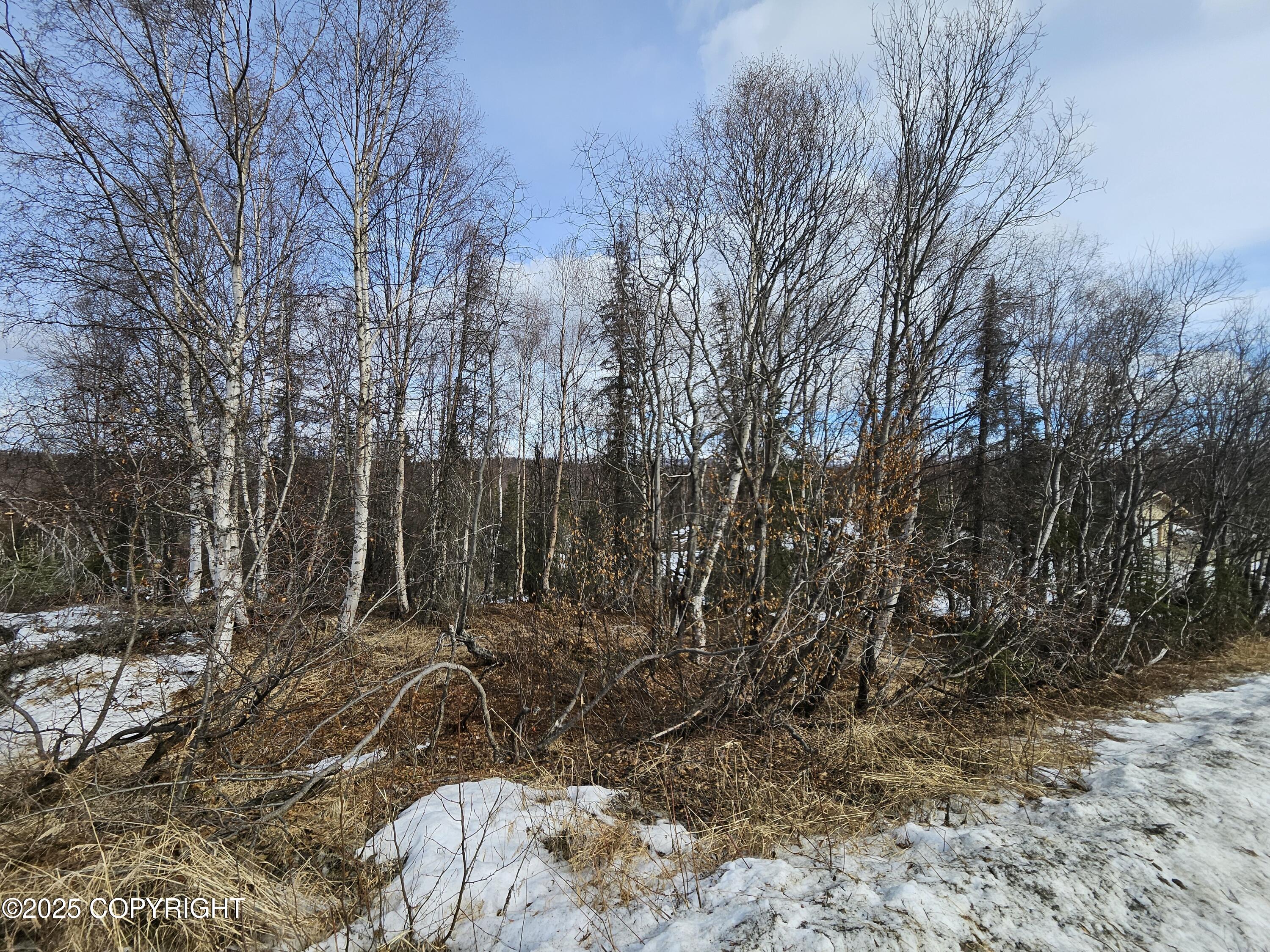 12937 W Snowberry Road, Willow, Alaska image 6