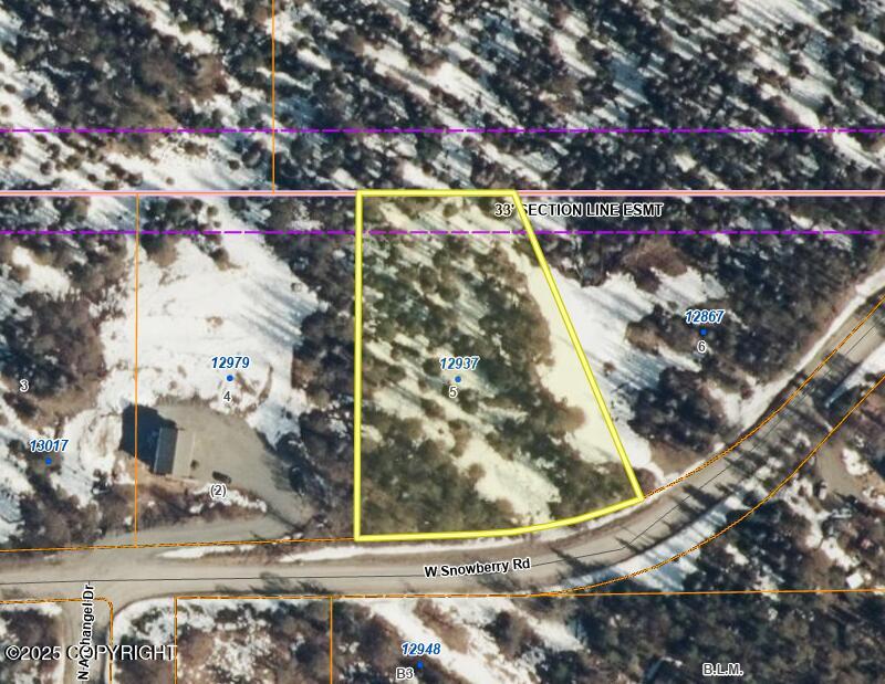 12937 W Snowberry Road, Willow, Alaska image 1